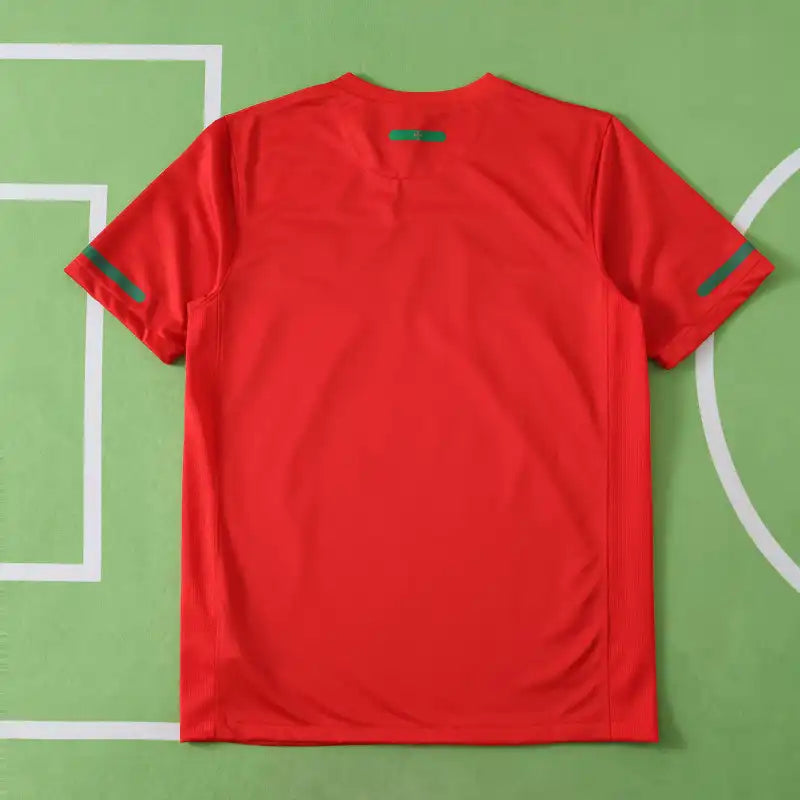 2010 Portugal Home Red Retro Football Jersey – Detailed View