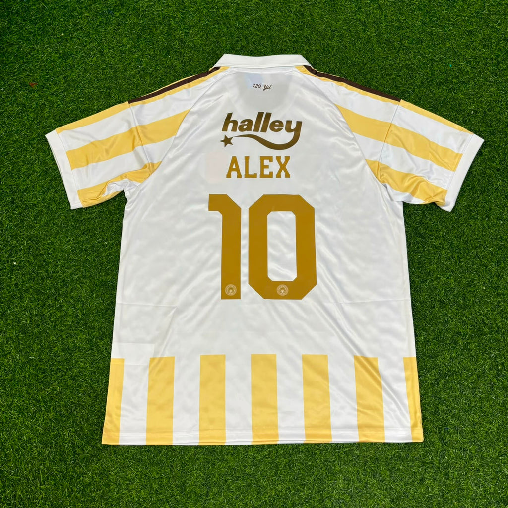 Alex de Souza #10 Fenerbahçe Special Football Jersey – Back View