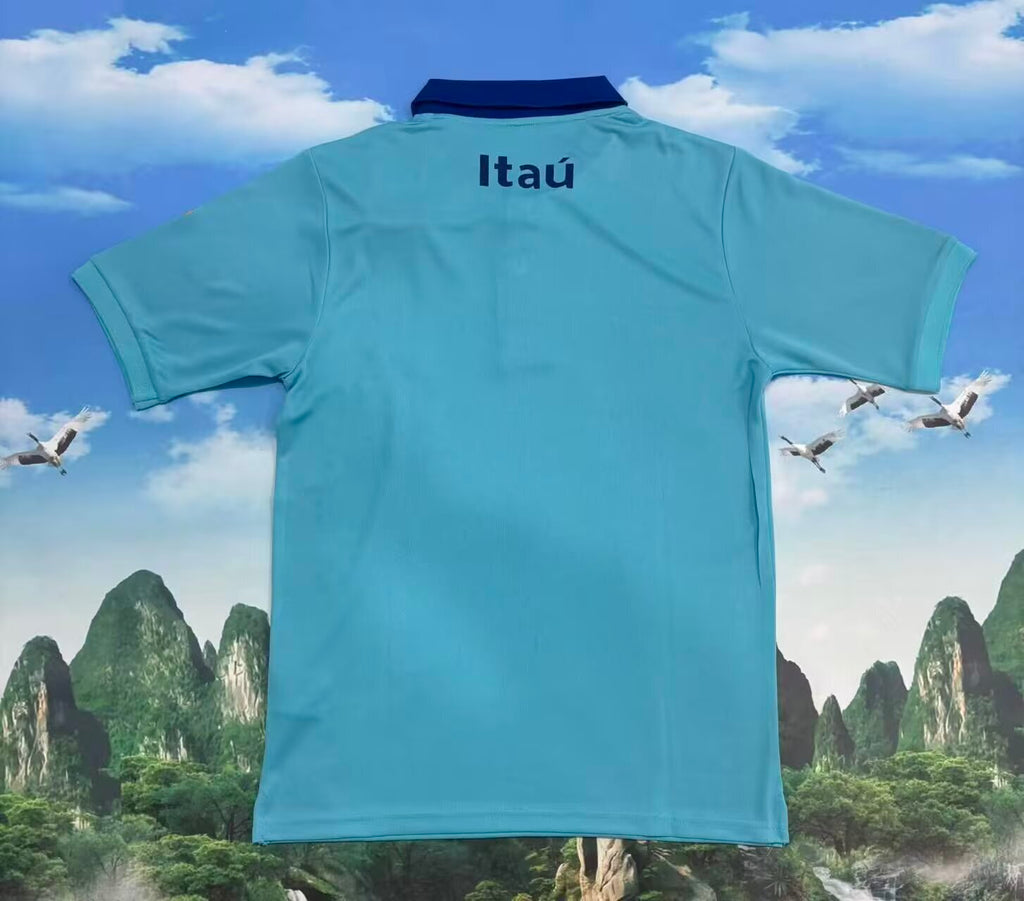 Brazil New Polo Neck Polokragen Tshirt – Detailed View