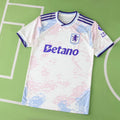 2026 Aston Villa Third Kit Football Jersey – Back View