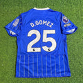 Diego Gomez #25 Brighton 2026/2027 New Season Home Blue Football Jersey – Back View