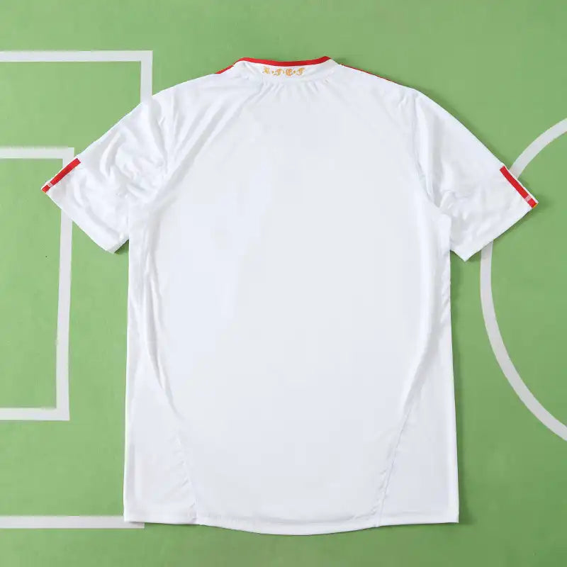 Spain 2010 World Cup Jersey – 8