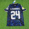 Argentina 2026 World Cup New Season Football Jersey – Enzo Fernández #24 – Back View