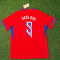 Erling Braut Haaland Norway 2026 WORLD CUP New Season Red Football Jersey – Back View