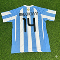 2010 Argentina World Cup Javier Mascherano 14- Retro Football Jersey – Back View