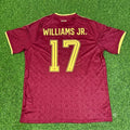 Nico Williams Spain 2026 World Cup Special Edition Football Jersey – Back View