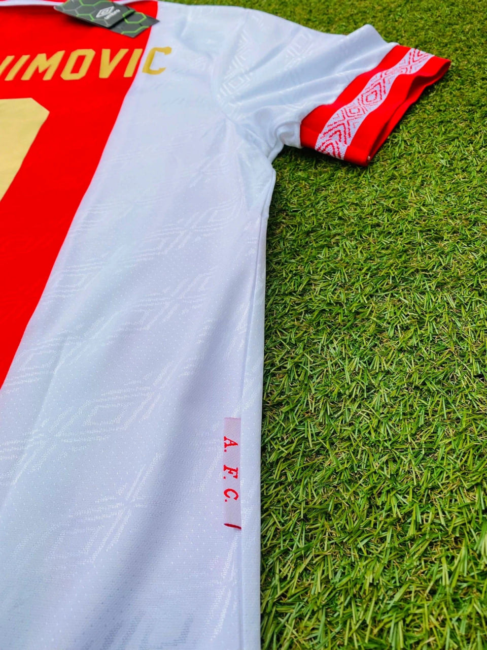 Dennis Bergkamp Ajax Retro Golden Printing Football Jersey – 6