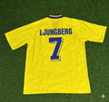 Fredrik Ljungberg Sweden Retro Football Jersey – Back View