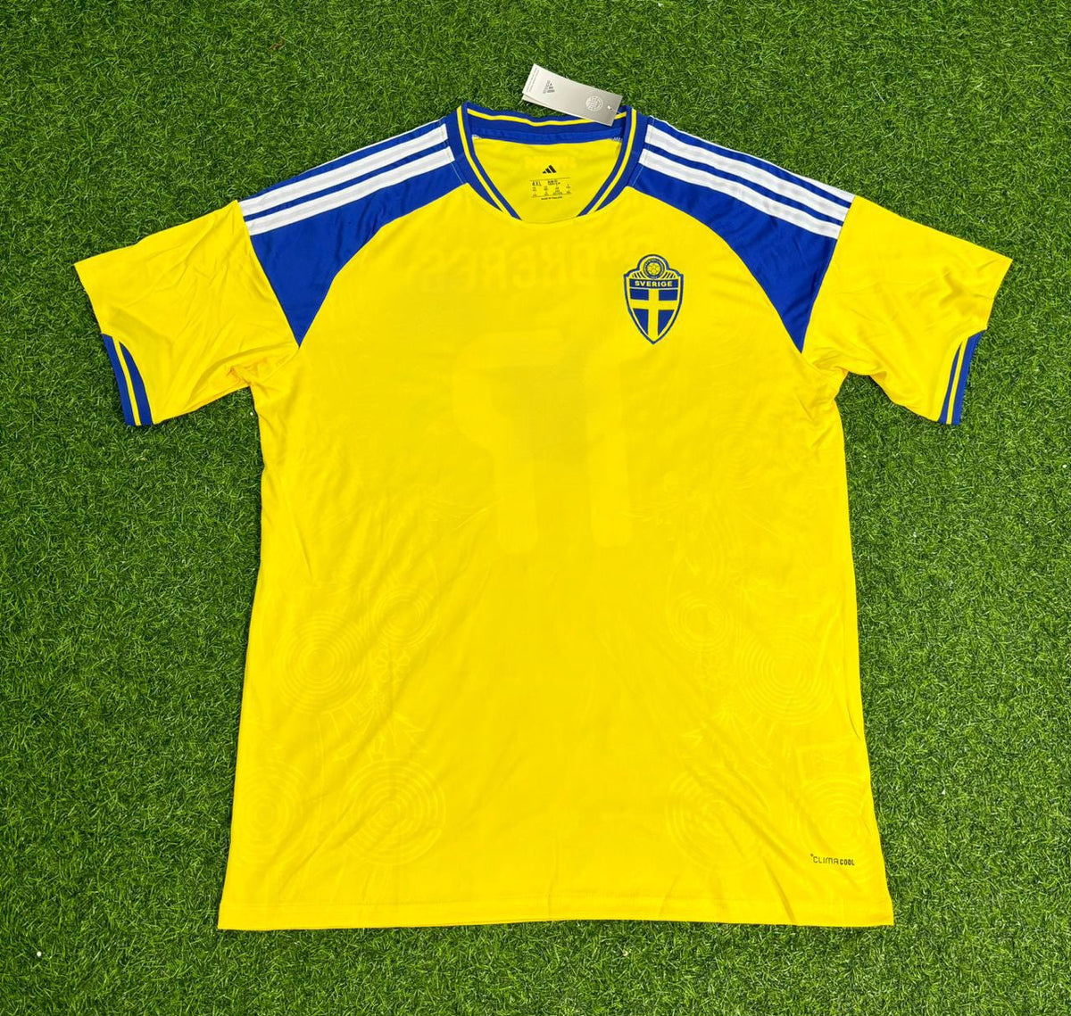 Sweden 2026 World Cup New Season Football Jersey – Back View