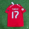 Türkiye Euro 2008 Turkey Retro Football Jersey – Tuncay Şanlı #17 – Back View