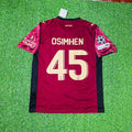 Galatasaray 2025 2026 Third Alternative Football Jersey – Victor Osimhen #45 – Back View
